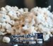 سیلیس درجه دو2