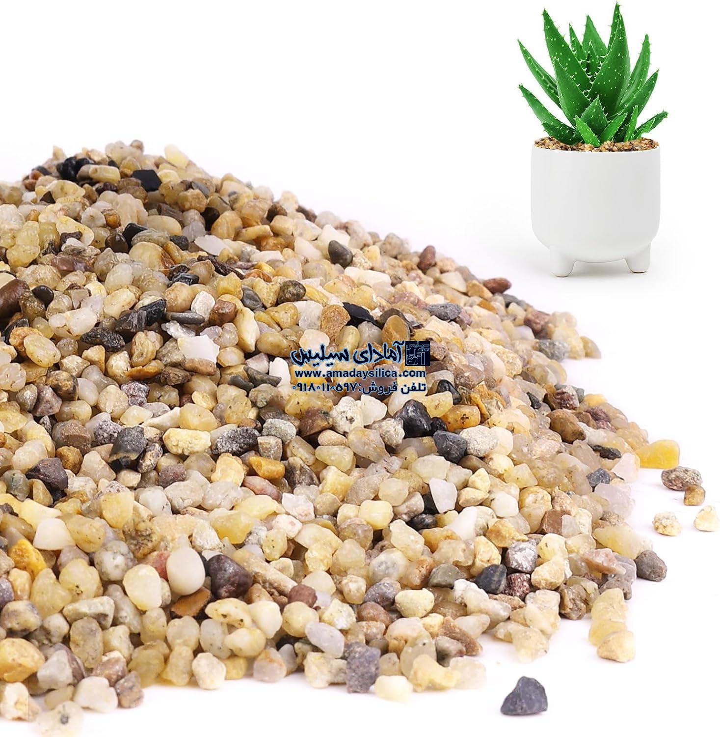 راهنمای جامع و تخصصی خرید سیلیس